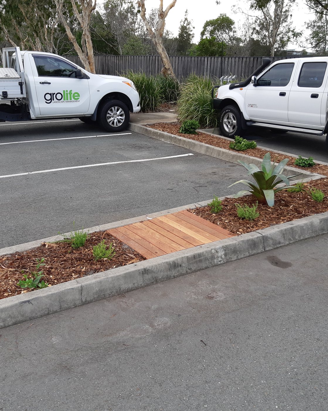 A freshly redesigned commercial garden bed