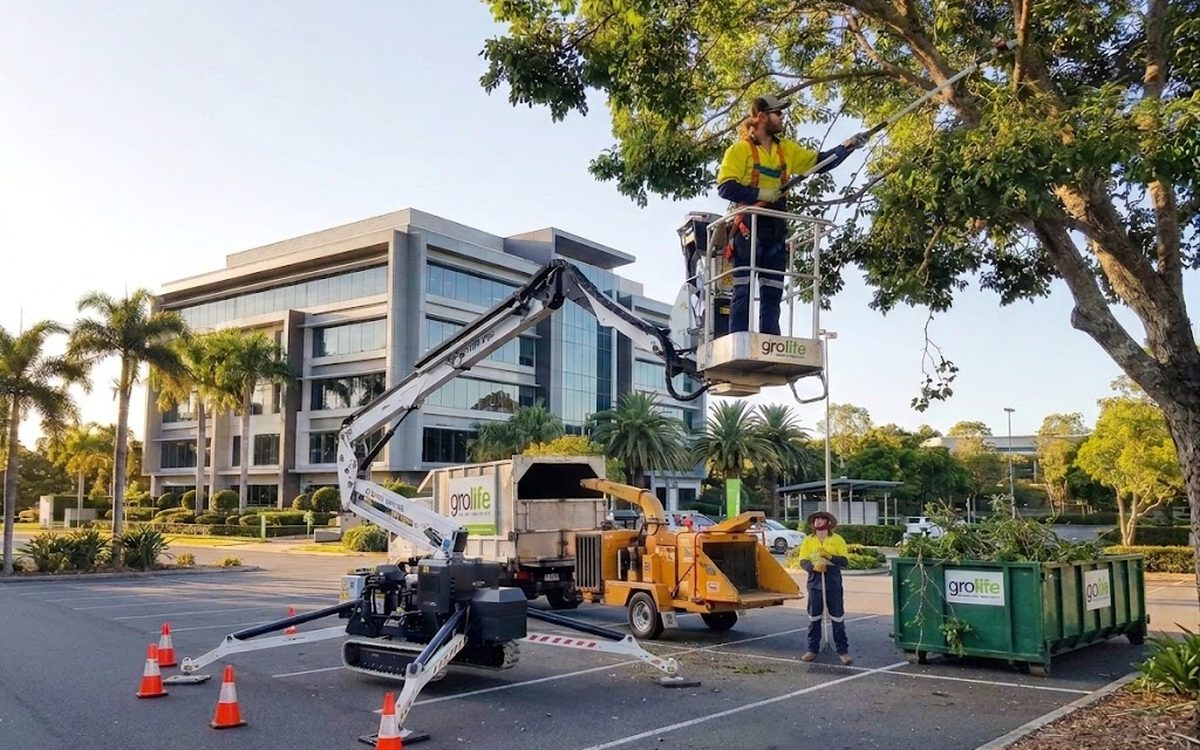 Grolife arborist pruning a tree on a commercial site