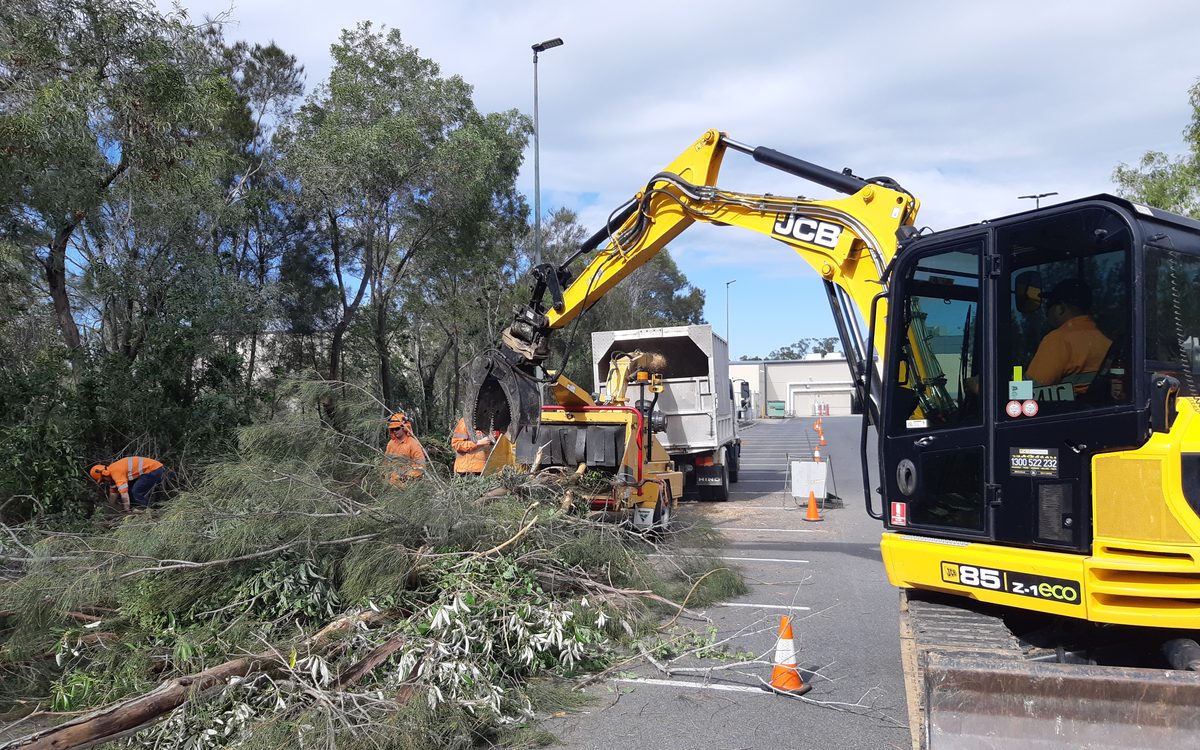 Cherry picker working on a tree at a Queensland commercial site